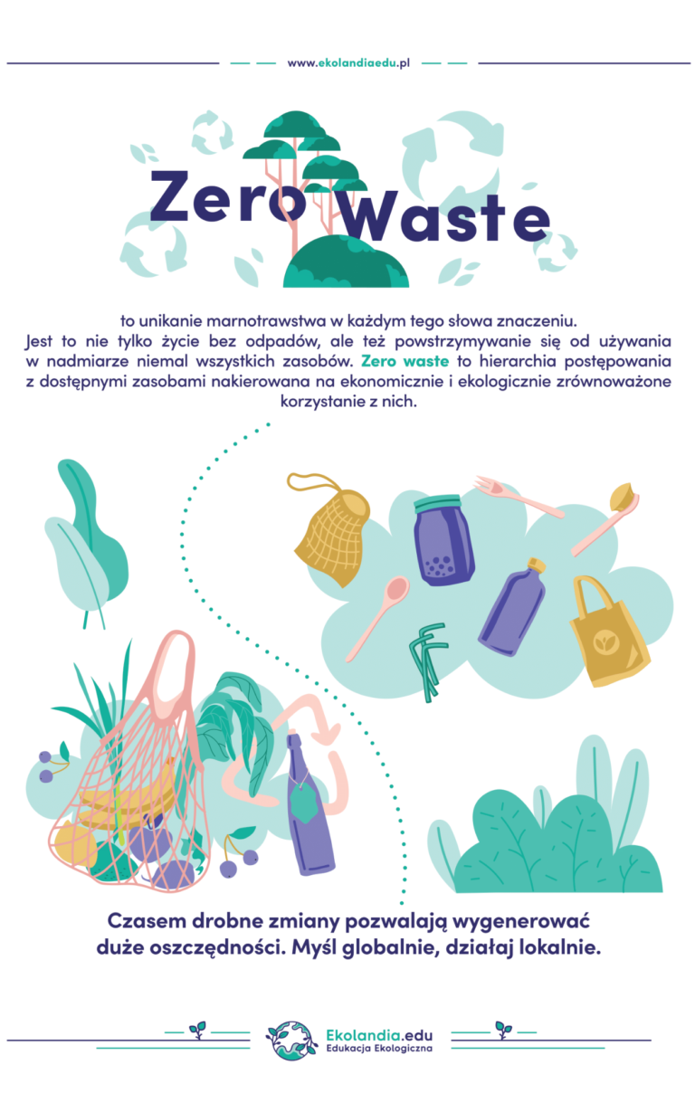 czym jest zero waste