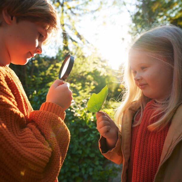 ekologia